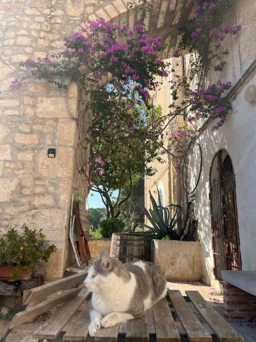 Casa Masseria Dell'800 Gargano. Le Mignole Monte Sant'Angelo Ngoại thất bức ảnh