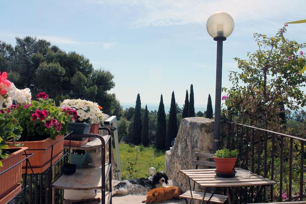 Casa Masseria Dell'800 Gargano. Le Mignole Monte Sant'Angelo Ngoại thất bức ảnh